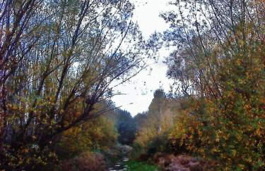 Cueva En El Geoparque de Granada - Foto 34