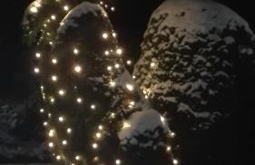 Agroturystyka RANCZO na Mazurach - Foto 26