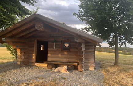 Delux Ferienwohnung Kunstgalerie und Ilmradweg - Photo 65