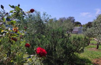 Holiday home Mola - Foto 23