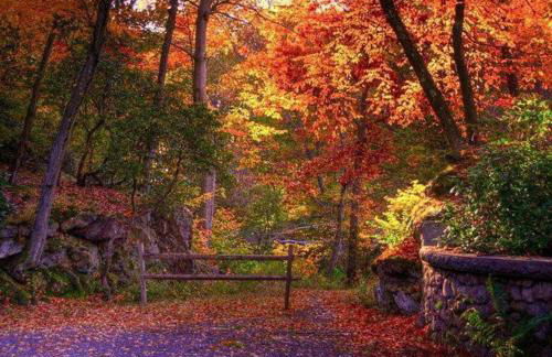 Peachy Paradise in East Rock Near DT/Yale - Foto 47