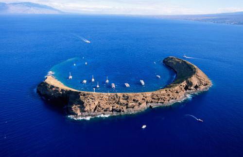 Beautiful Condo at Kihei Ali'i Kai, Close to Beach - Foto 120