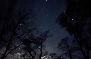 Waldweg 33 - Foto 10