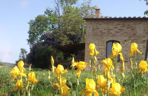 La Fornace di San Galgano - Foto 46