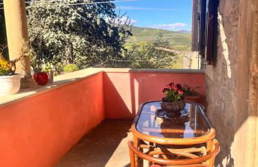 B&B Camelia - Foto 31