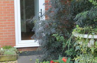 Pear Tree House Studio - Photo 7