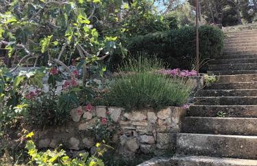 Apartment Teuta - Foto 42