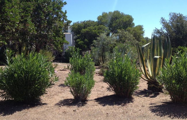 SVS - Lu Impostu Villa e Apartments - Foto 29