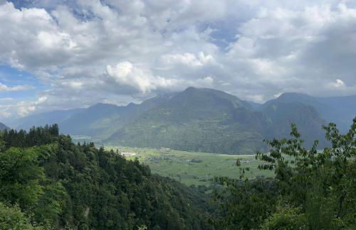 Oasi Alpina - Foto 38