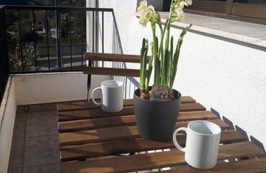 APARTAMENTO LOS NARCISOS - Foto 8