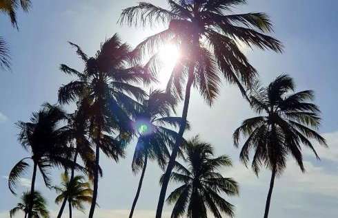 Apto família Sol do Gostoso - Foto 63