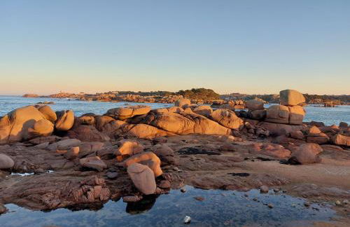 Île Grande, Location maison saisonnière chez Dom et Cathy C - Foto 29