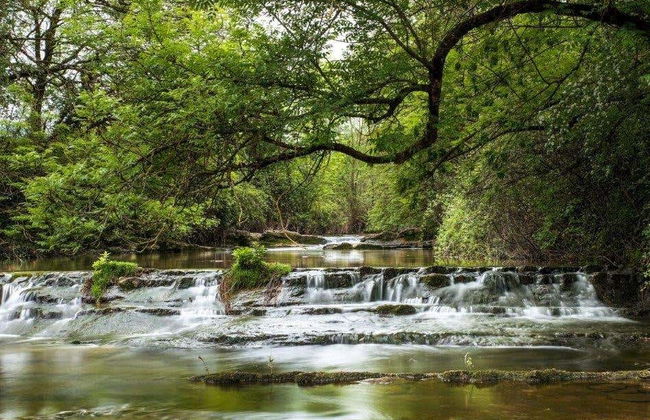 Visite guidée de la tour de Murga - Photo 7