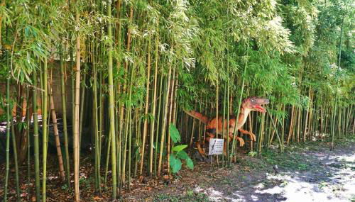 Carriage House No Stairs Near Forsyth Park - Foto 4, Garden