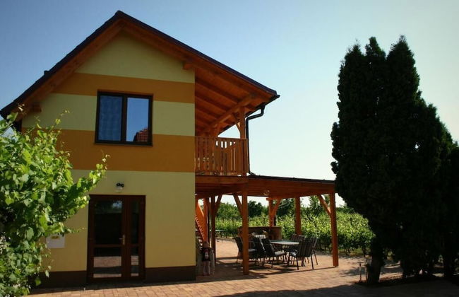 PENZION POD PALAVU - Photo 28