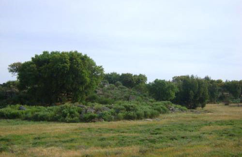 Tapada da Beirã - Foto 48