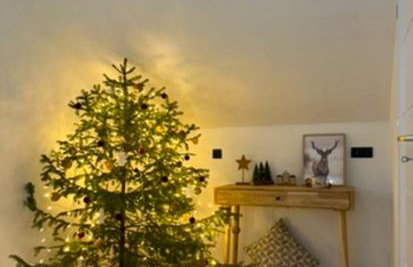 Modrzewiowy Zakątek - Foto 41