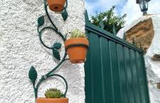 Quinta do Ti Vasco - Foto 9