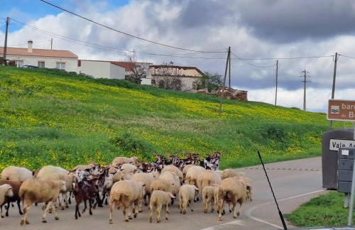 Casa Azul do Cerro - Foto 22