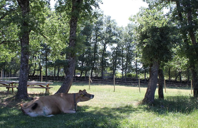 Eco Urbión - Foto 60