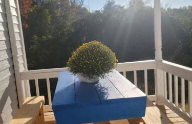 Restored 1900s Historic Home - Jonesboro, VA - Foto 14