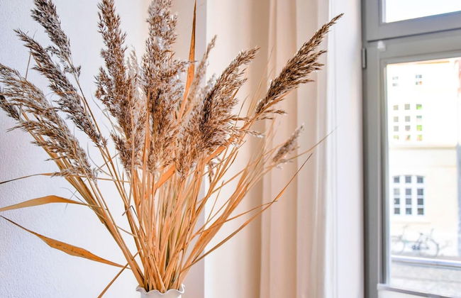 Ferienwohnung in Wismar im Stadtzentrum - Foto 16