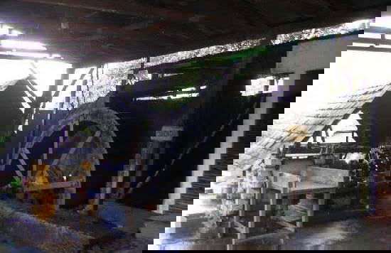 Excursión a Oxapampa y Chontabamba - Foto 3