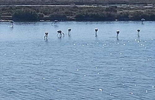 Ancão Beach Apartment - Photo 14