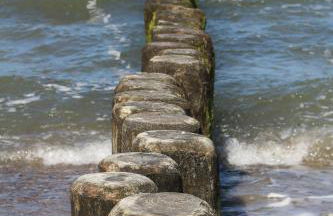 Ferienwohnung Nienhagen - Foto 30