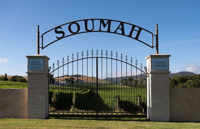 SOUMAH Wines - Photo 29