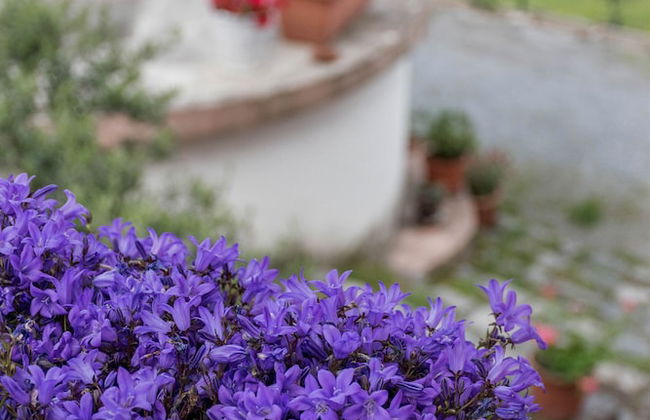 Agriturismo Terrerosse di Massadita - Foto 42