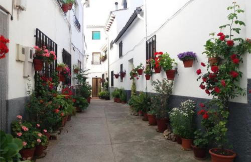 Casa Veva - Siles - Foto 23