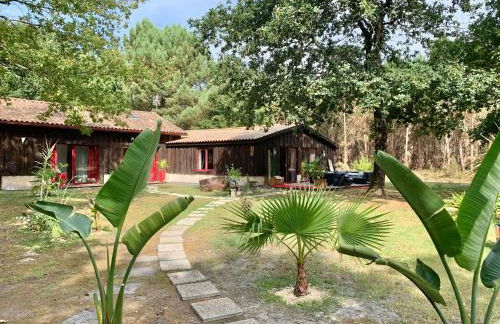 House de la Canopée, Swimming pool, Lake, Forest, large garden and WIFI - Foto 2