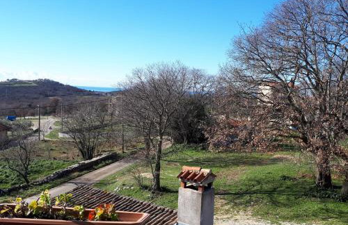 Apartman Aleks - Foto 15