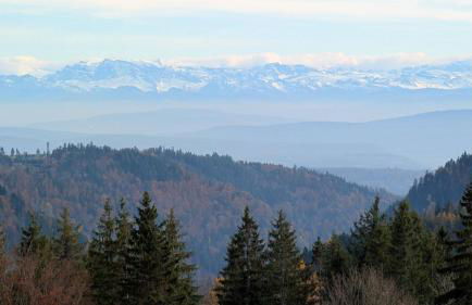 FeWo im Grünen - Foto 13