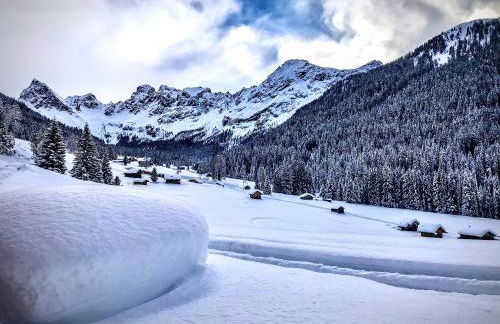 Cesa Bernard - Apartment Cima 12 e new Apartment Fraine - Foto 40