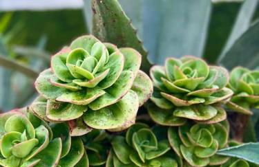 Villa - Mer & Surf - Peniche - Foto 38