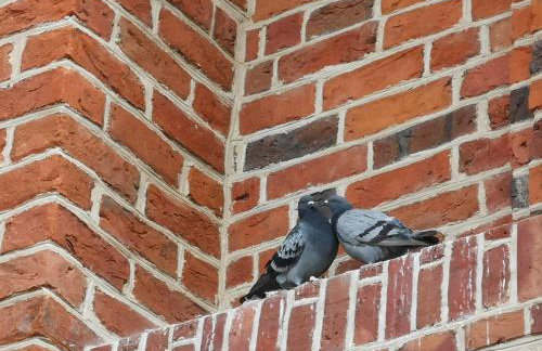 Arboretum Apartments Kórnik - Foto 73