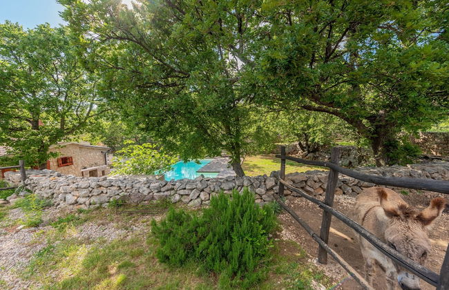 Villa Stone House Magarac - Photo 46