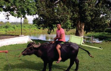 Pousada Marajoara- Hotel Fazenda-Turismo de Aventura - Photo 19