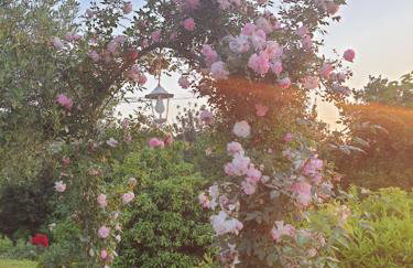 Family apartments Dominković - Photo 30