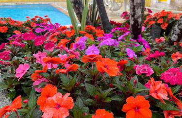 Chácara Casa Amarela - estrutura completa de lazer - ambientes elegantes e exclusivos - campo de futebol e bocha - piscina - lareiras - 10 min Rota do Vinho - Foto 35