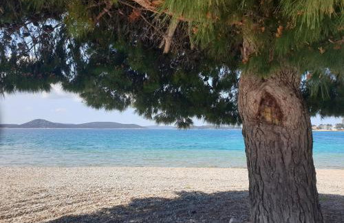 Assato Apartments - Photo 55