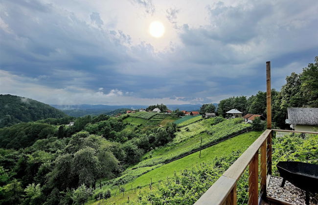 Vineyard cottage Soncni gric - Foto 39