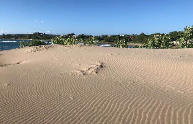 Turtles Nest Villa - Foto 40