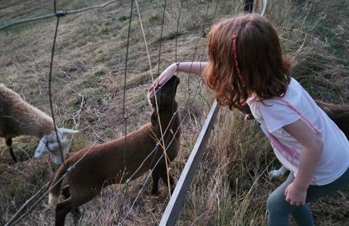 Golden Valley apartment & ranch - Foto 10