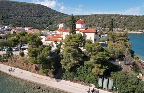 The Olive Tree - Photo 33