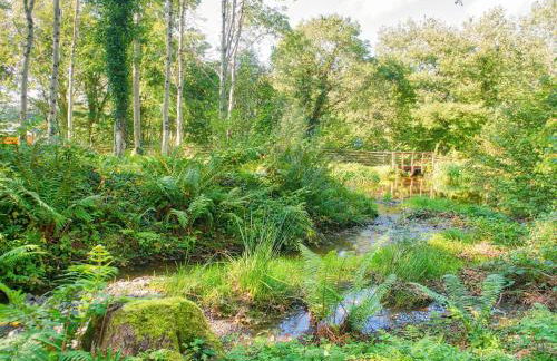 Arenig - Bala Lake - Foto 14