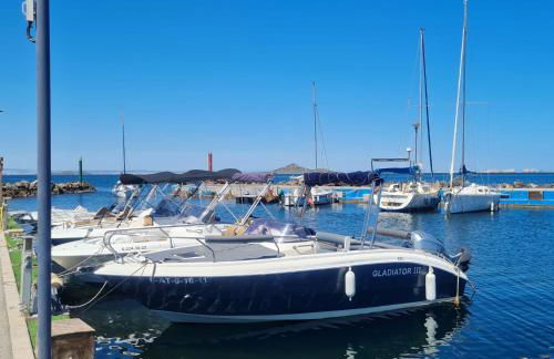 Palmerita 5 - Foto 21