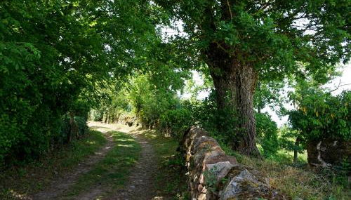 Le Clos Bellevue Appartement T3 parking + piscine - Photo 5